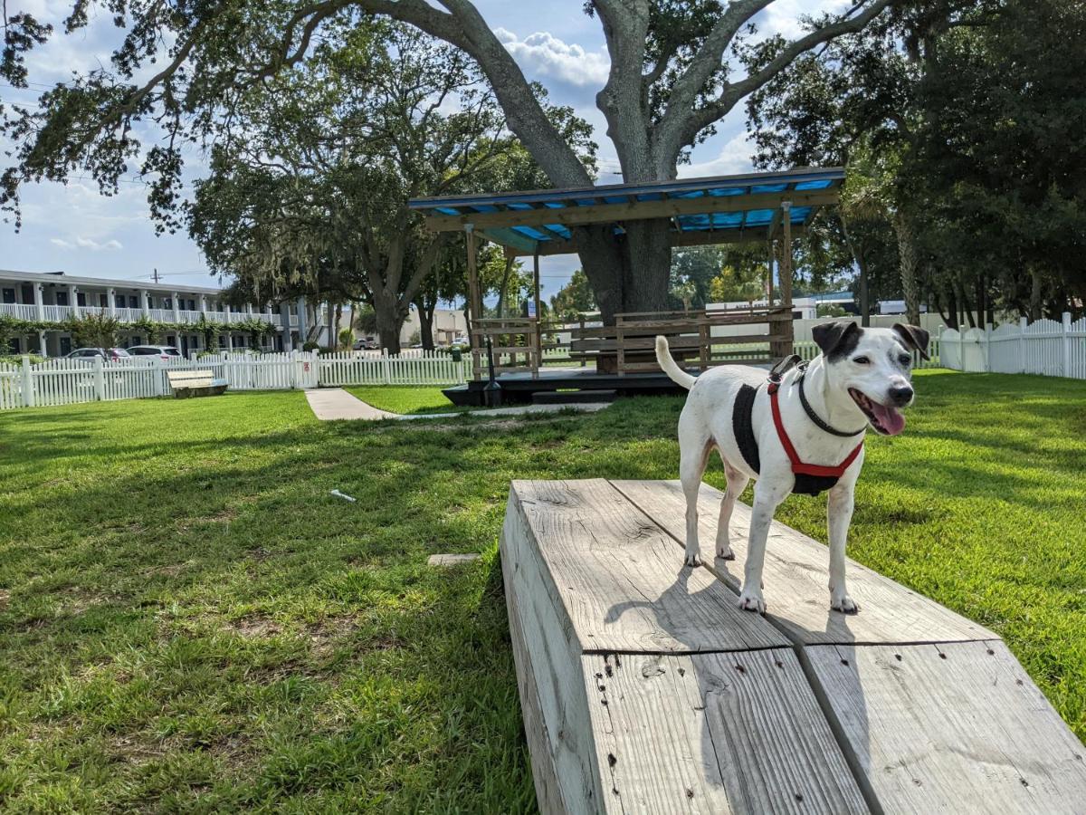 Southern Oaks Inn - Saint Augustine Esterno foto