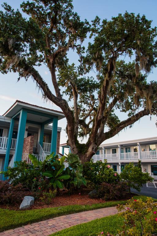Southern Oaks Inn - Saint Augustine Esterno foto